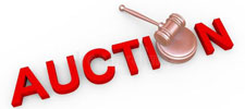 images/auction-gavel-225.jpg